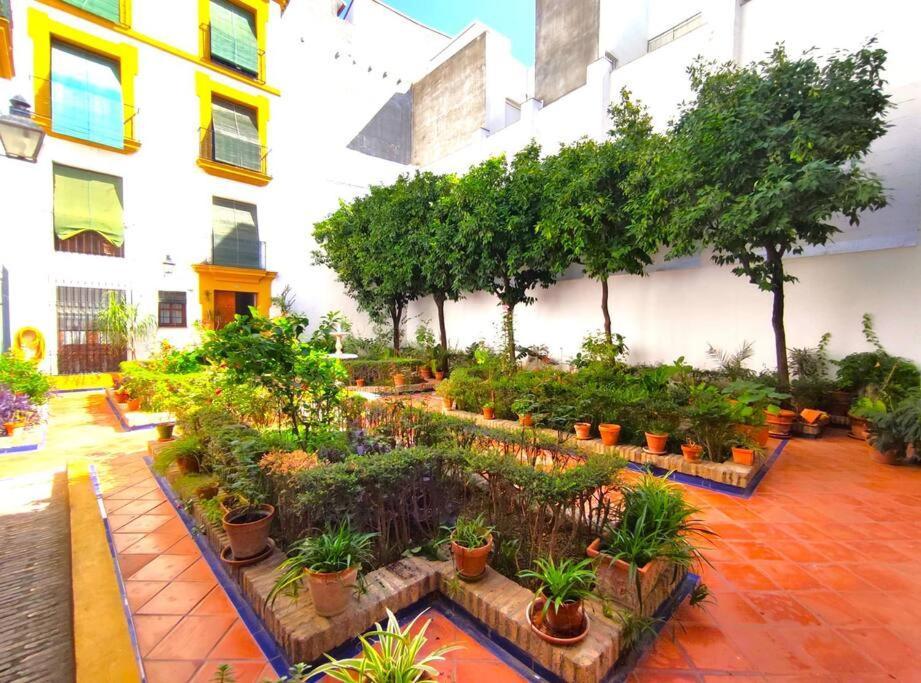 Plaza Cristo De Burgos Apartamento Sevilha Exterior foto